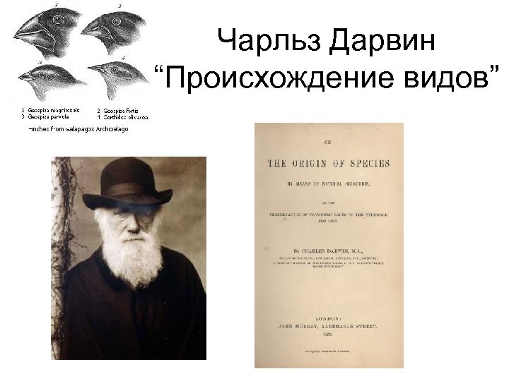 Ч дарвин книги