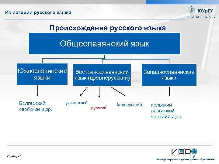 Из истории русского языка Происхождение русского языка Общеславянский язык Южнославянские языки Болгарский, сербский и