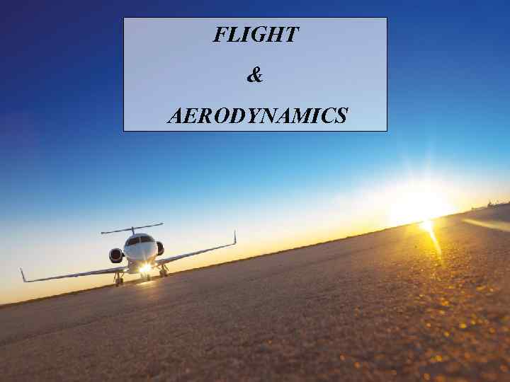 FLIGHT & AERODYNAMICS 