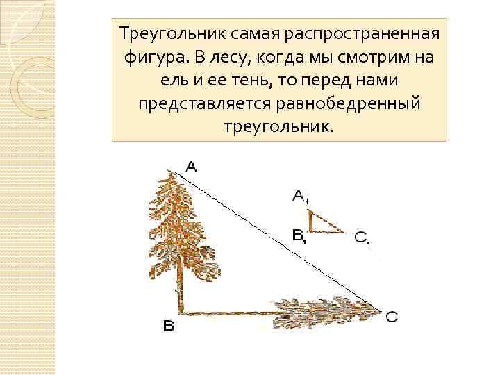 Треугольник самая распространенная фигура. В лесу, когда мы смотрим на ель и ее тень,