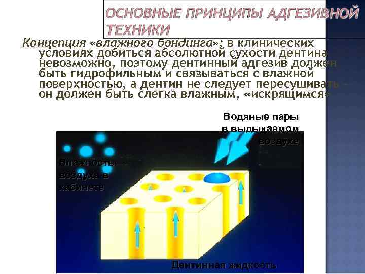 Концепция «влажного бондинга» : в клинических условиях добиться абсолютной сухости дентина невозможно, поэтому дентинный