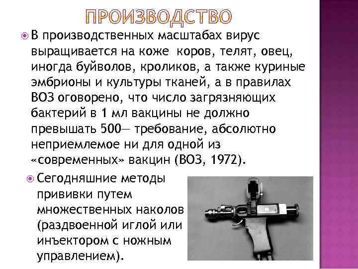  В производственных масштабах вирус выращивается на коже коров, телят, овец, иногда буйволов, кроликов,