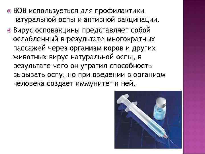  ВОВ используеться для профилактики натуральной оспы и активной вакцинации. Вирус осповакцины представляет собой