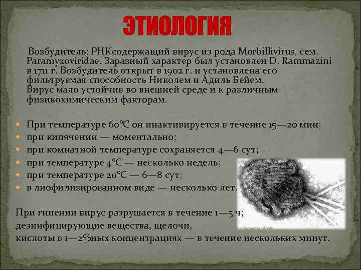 ЭТИОЛОГИЯ Возбудитель: РНКсодержащий вирус из рода Morbillivirus, сем. Paramyxoviridae. Заразный характер был установлен D.