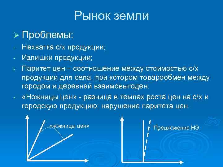 Рынок земли Ø Проблемы: Нехватка с/х продукции; Излишки продукции; Паритет цен – соотношение между