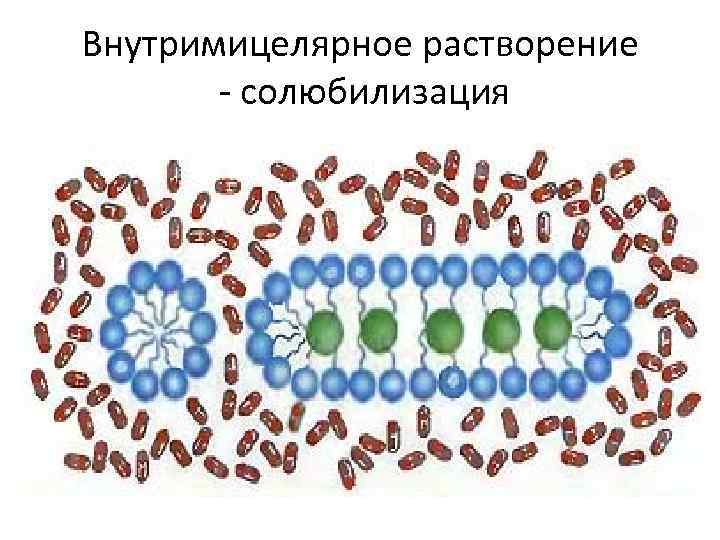Внутримицелярное растворение - солюбилизация. 