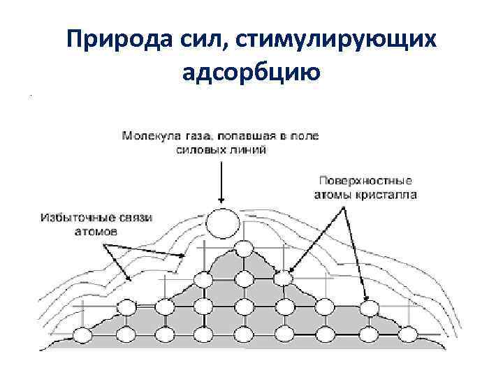 Природа сил, стимулирующих адсорбцию. 