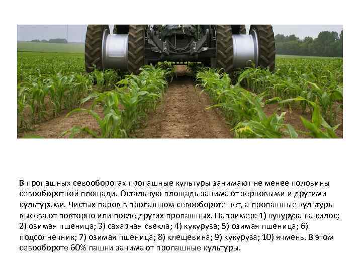 В пропашных севооборотах пропашные культуры занимают не менее половины севооборотной площади. Остальную площадь занимают