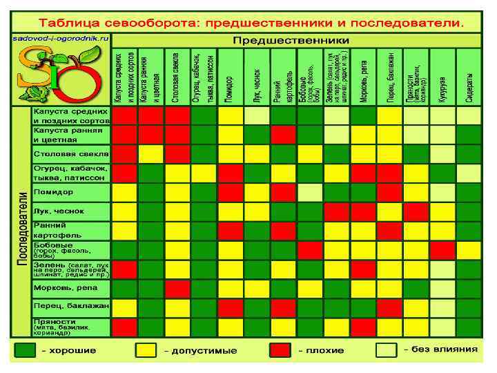 Схема севооборота овощных культур