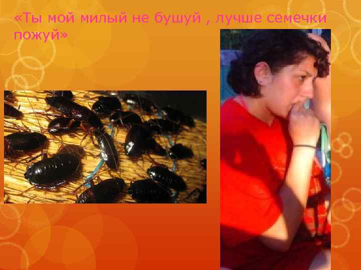  «Ты мой милый не бушуй , лучше семечки пожуй» 