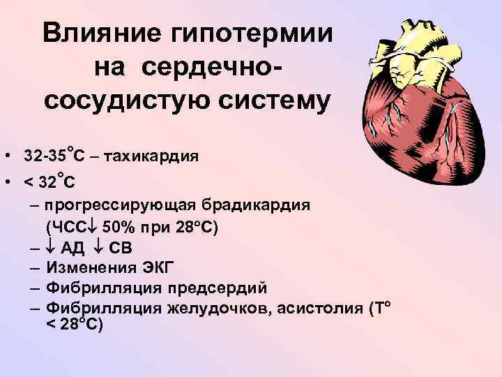 Влияние гипотермии на сердечнососудистую систему o • 32 -35 C – тахикардия o •