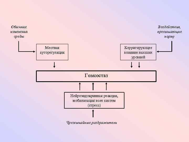 Изменения обычно. Корригирующих воздействий. Нейроэндокринная регуляция отеки. Перечислите факторы его местной метаболической ауторегуляции. Ауторегуляция медиатора.