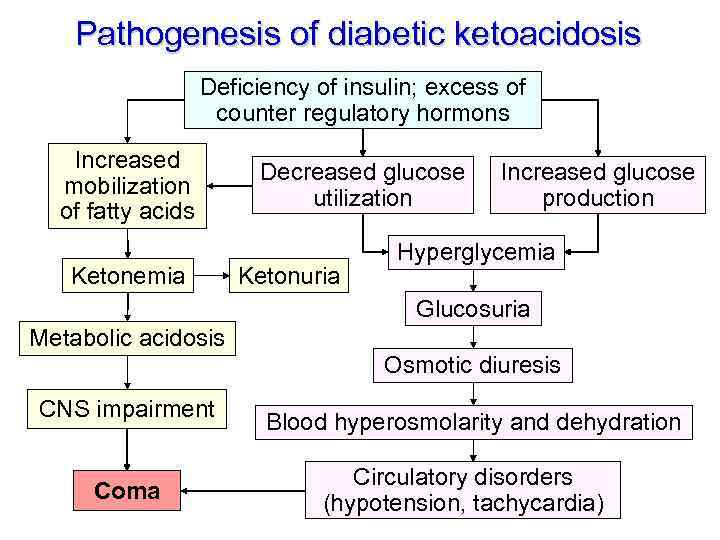 Pathogenesis of diabetic ketoacidosis Deficiency of insulin; excess of counter regulatory hormons Increased mobilization