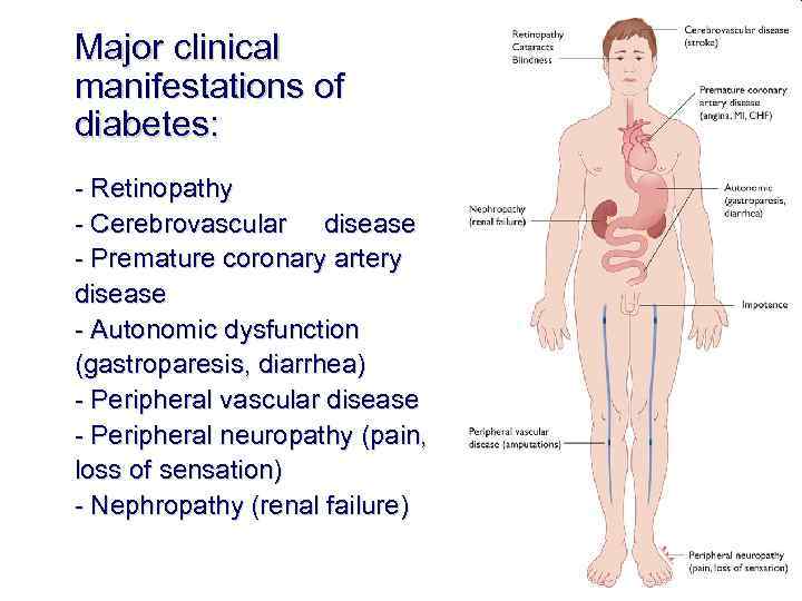 Major clinical manifestations of diabetes: - Retinopathy - Cerebrovascular disease - Premature coronary artery