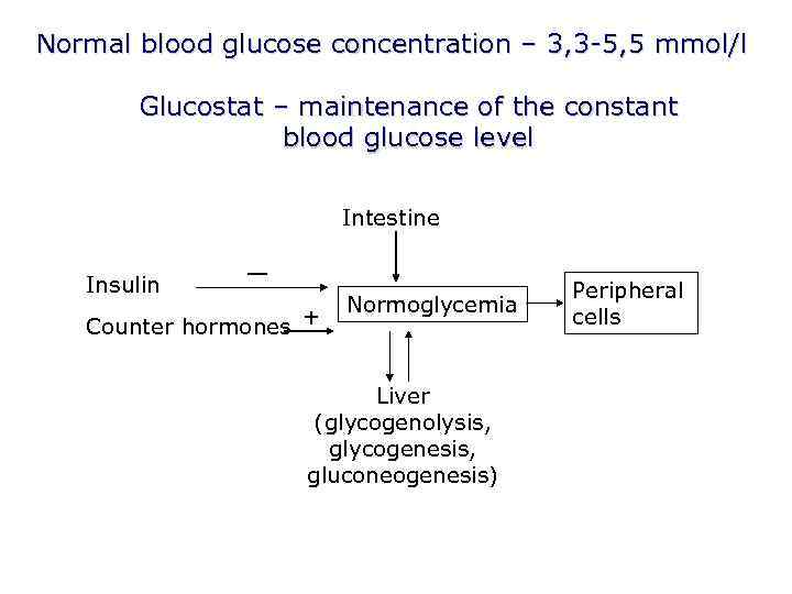 Normal blood glucose concentration – 3, 3 -5, 5 mmol/l Glucostat – maintenance of