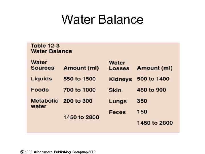Water Balance 