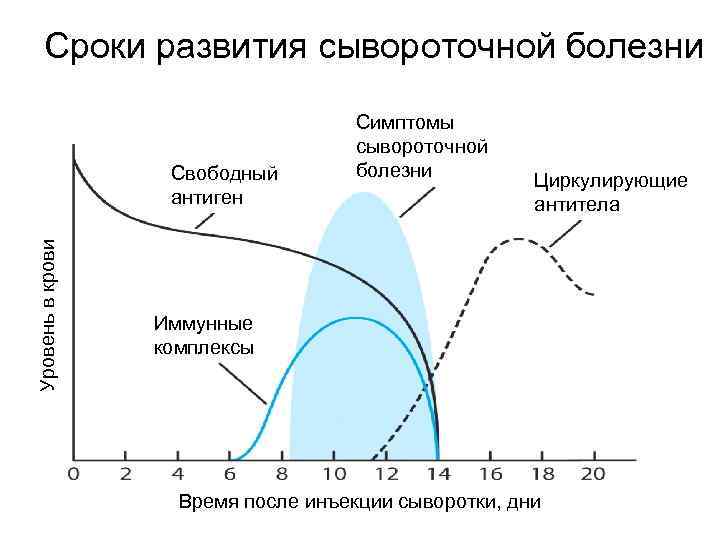 Сроки развития сывороточной болезни Уровень в крови Свободный антиген Симптомы сывороточной болезни Циркулирующие антитела