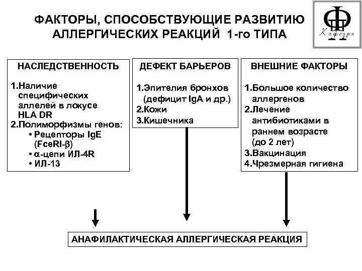 ФАКТОРЫ, СПОСОБСТВУЮЩИЕ РАЗВИТИЮ АЛЛЕРГИЧЕСКИХ РЕАКЦИЙ 1 -го ТИПА НАСЛЕДСТВЕННОСТЬ ДЕФЕКТ БАРЬЕРОВ ВНЕШНИЕ ФАКТОРЫ 1.