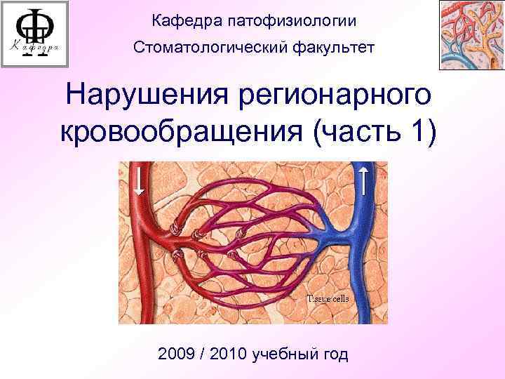 Кафедра патофизиологии Стоматологический факультет Нарушения регионарного кровообращения (часть 1) 2009 / 2010 учебный год