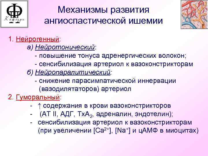 Механизмы развития ангиоспастической ишемии 1. Нейрогенный: а) Нейротонический: - повышение тонуса адренергических волокон; -