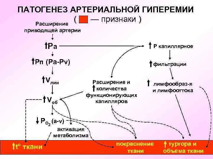 ПАТОГЕНЕЗ АРТЕРИАЛЬНОЙ ГИПЕРЕМИИ ( — признаки ) Расширение приводящей артерии Ра Р капиллярное Рп