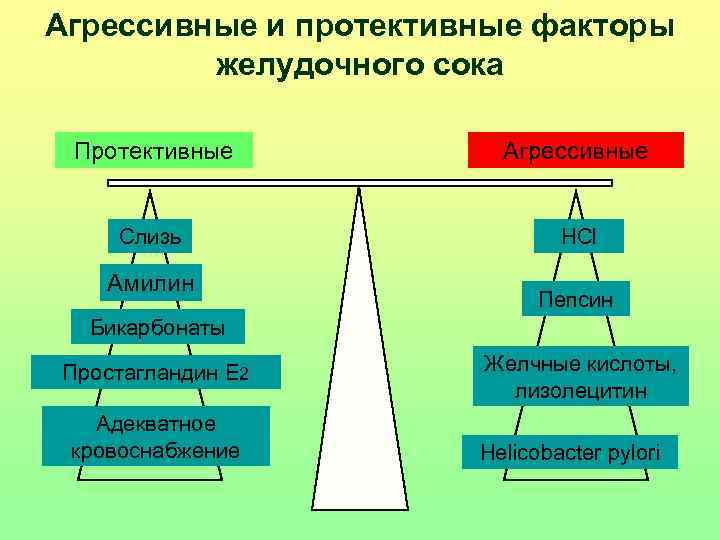 Агрессивные и протективные факторы желудочного сока Протективные Агрессивные Слизь HCl Амилин Пепсин Бикарбонаты Простагландин