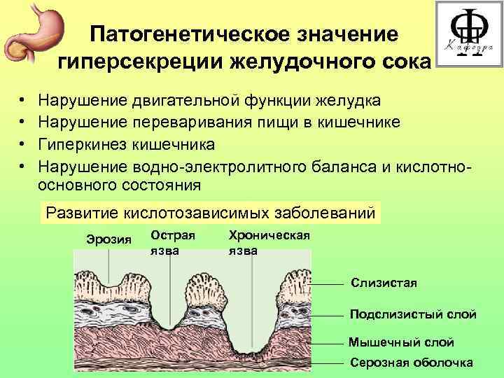 Патогенетическое значение гиперсекреции желудочного сока • • Нарушение двигательной функции желудка Нарушение переваривания пищи