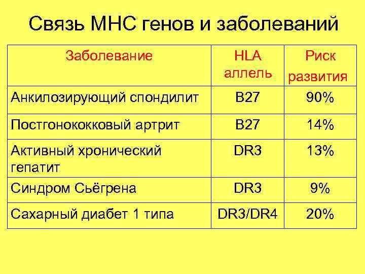 Связь МНС генов и заболеваний Заболевание HLA аллель Анкилозирующий спондилит B 27 Риск развития