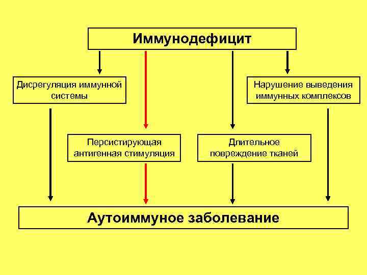 Иммунодефицит Дисрегуляция иммунной системы Персистирующая антигенная стимуляция Нарушение выведения иммунных комплексов Длительное повреждение тканей