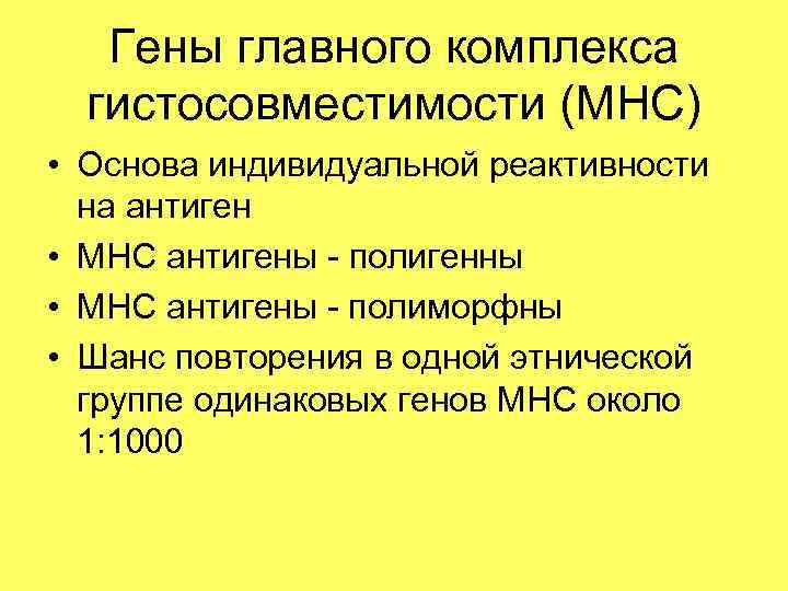 Гены главного комплекса гистосовместимости (MHC) • Основа индивидуальной реактивности на антиген • MHC антигены