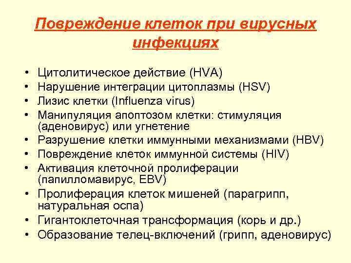 Повреждение клеток при вирусных инфекциях • • • Цитолитическое действие (HVA) Нарушение интеграции цитоплазмы