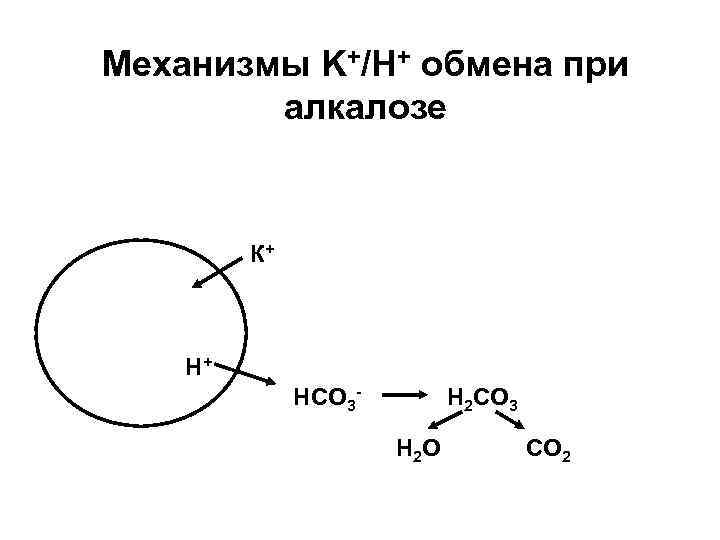 Механизмы K+/H+ обмена при алкалозе К+ Н+ НСО 3 - Н 2 СО 3