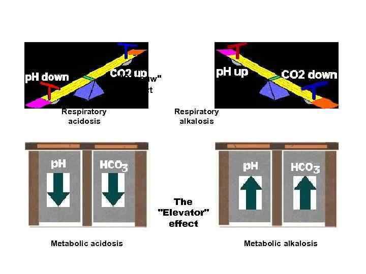 The "Seesaw" effect Respiratory acidosis Respiratory alkalosis The "Elevator" effect Metabolic acidosis Metabolic alkalosis