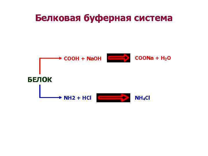 Белковая буферная система COOH + Na. OH COONa + H 2 O NH 2