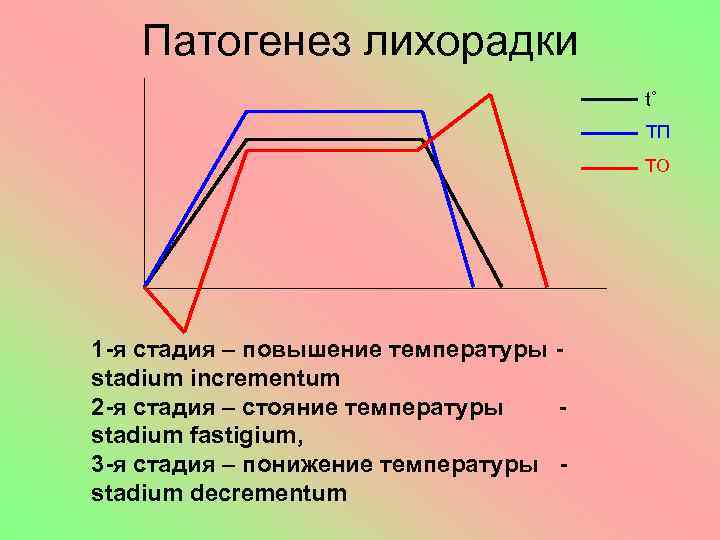 Патогенез лихорадки t˚ ТП ТО 1 -я стадия – повышение температуры stadium incrementum 2