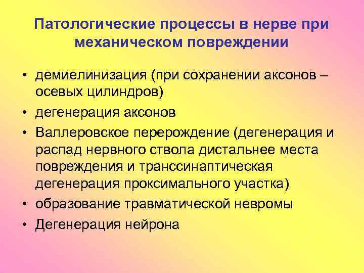 Патологические процессы в нерве при механическом повреждении • демиелинизация (при сохранении аксонов – осевых