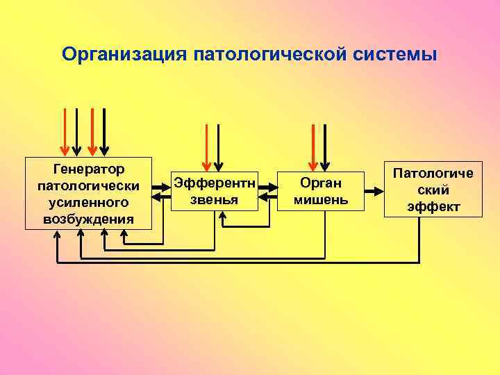 Организация патологической системы Генератор патологически усиленного возбуждения Эфферентн звенья Орган мишень Патологиче ский эффект