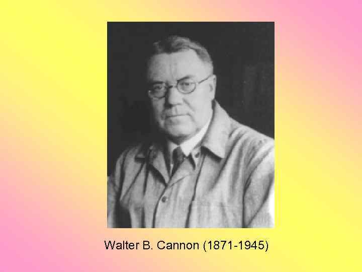 Walter B. Cannon (1871 -1945) 