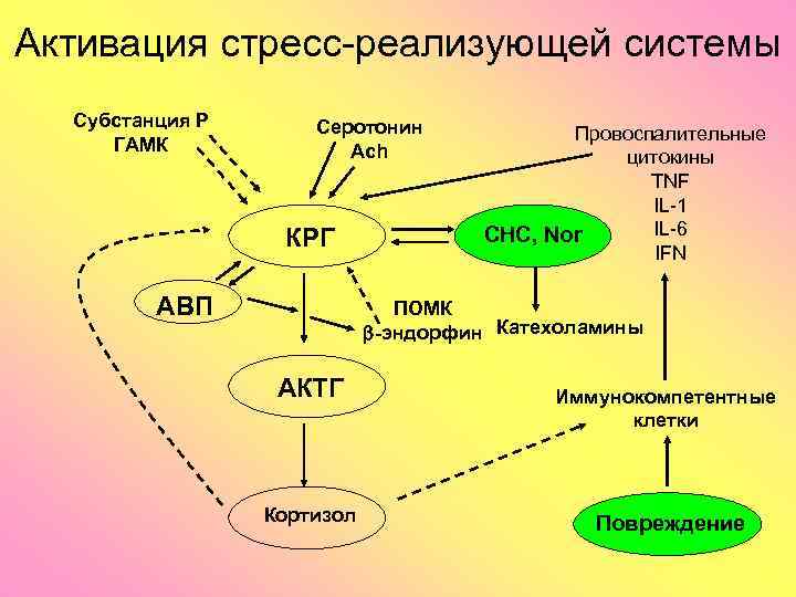 Схема стресс реализующей системы