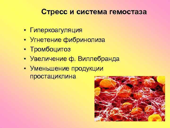 Стресс и система гемостаза • • • Гиперкоагуляция Угнетение фибринолиза Тромбоцитоз Увеличение ф. Виллебранда