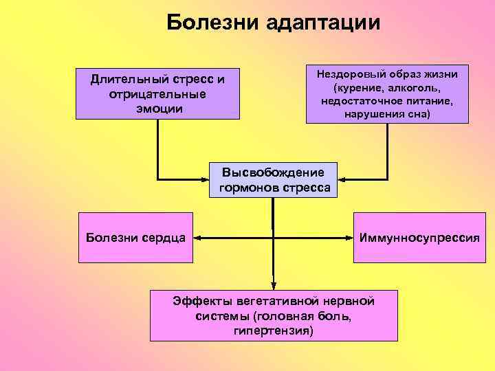 Болезни адаптации Длительный стресс и отрицательные эмоции Нездоровый образ жизни (курение, алкоголь, недостаточное питание,