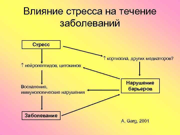 Влияние стресса на течение заболеваний Стресс кортизола, других медиаторов? нейропептидов, цитокинов Воспаление, иммунологические нарушения