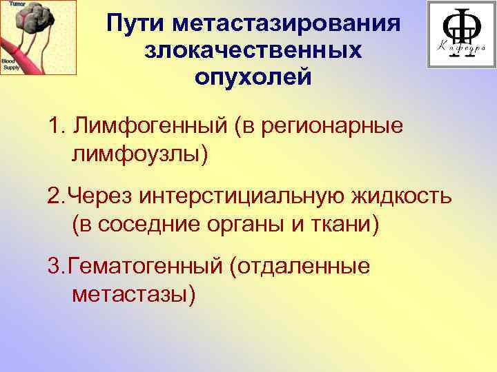 Пути метастазирования злокачественных опухолей 1. Лимфогенный (в регионарные лимфоузлы) 2. Через интерстициальную жидкость (в