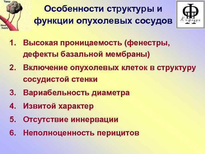 Особенности структуры и функции опухолевых сосудов 1. Высокая проницаемость (фенестры, дефекты базальной мембраны) 2.