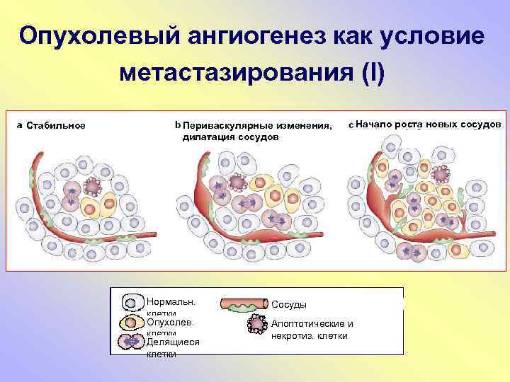 Опухолевый рост