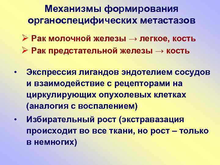 Механизмы формирования органоспецифических метастазов Ø Рак молочной железы → легкое, кость Ø Рак предстательной