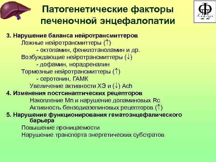 Патогенетические факторы печеночной энцефалопатии 3. Нарушение баланса нейротрансмиттеров Ложные нейротрансмиттеры ( ) - октопамин,