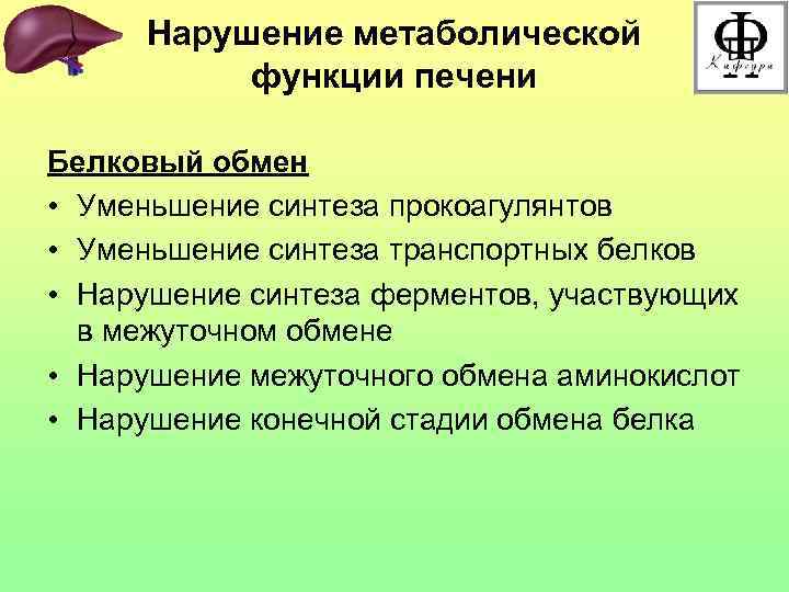 Нарушение метаболической функции печени Белковый обмен • Уменьшение синтеза прокоагулянтов • Уменьшение синтеза транспортных