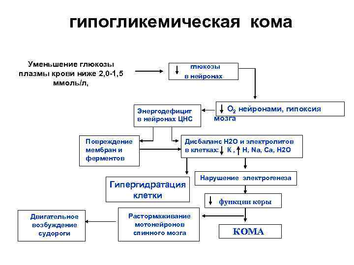 гипогликемическая кома Уменьшение глюкозы плазмы крови ниже 2, 0 -1, 5 ммоль/л, глюкозы в