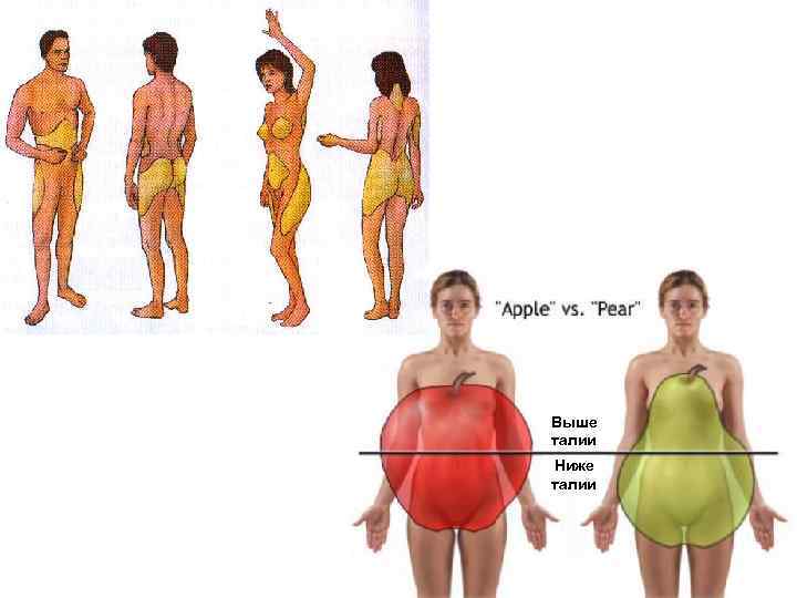 Выше талии Ниже талии 